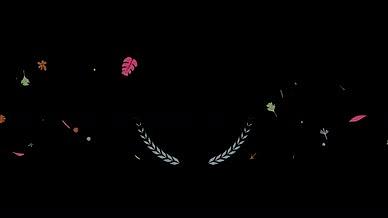 4组浪漫花卉植物标题背景视频的预览图